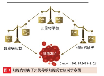 专家论证降压药物是否增加癌症风险